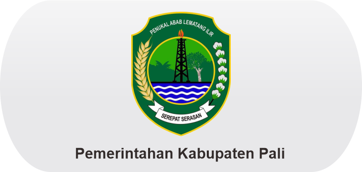 Pemerintah Kabupaten Pali